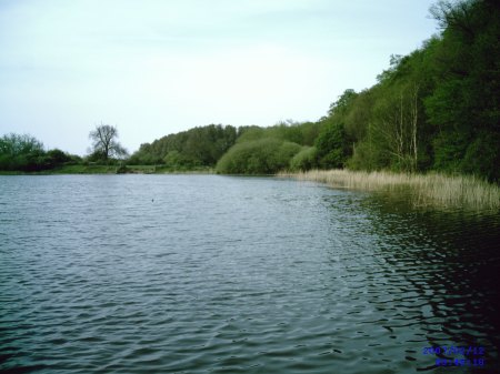 Holme Pit in May 2008